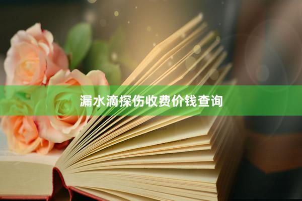 漏水滴探伤收费价钱查询